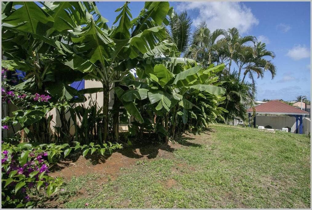 Villa Mango 150 Metres Plage A Pied Sainte-Luce Exterior photo